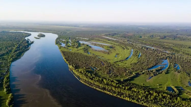 Top 10 Widest River In The World List Pickytop