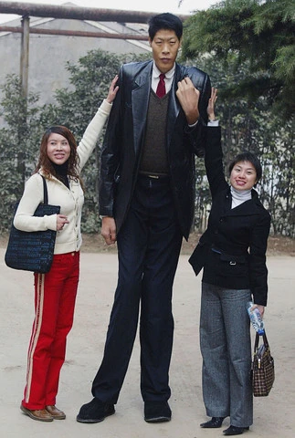 Top 10 Tallest People in the World 2023