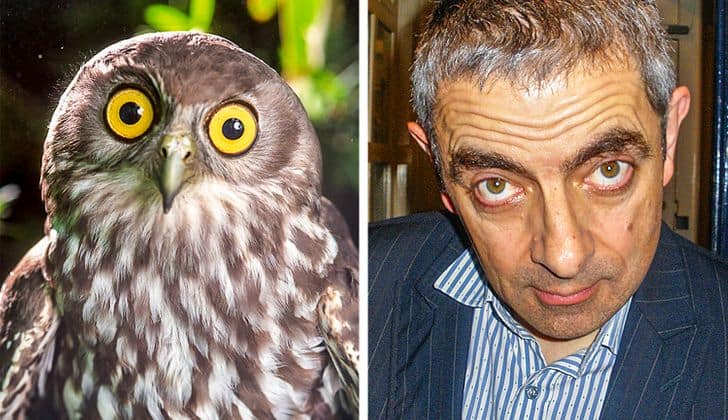 19 People That Look Like Animals