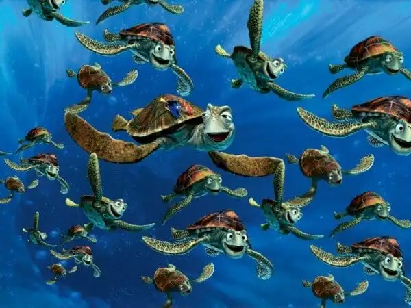 The Turtles of Finding Nemo