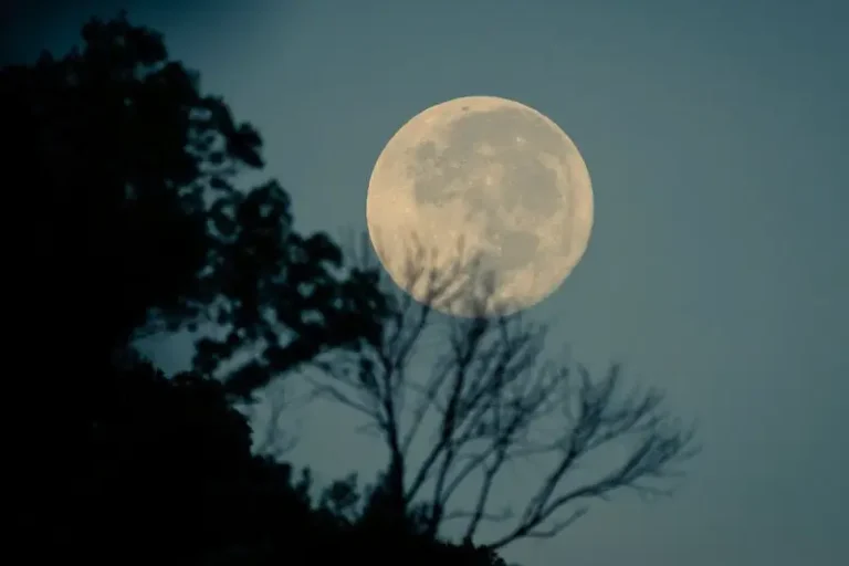 “The Moon is Beautiful Isn’t It?”- Meaning